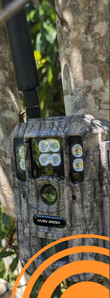 cropped-Yarn-Mesh-AI-TrailCam-with-stylised-YM-Logo